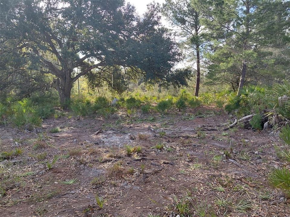 На продажу: $25,000 (0.50 acres)