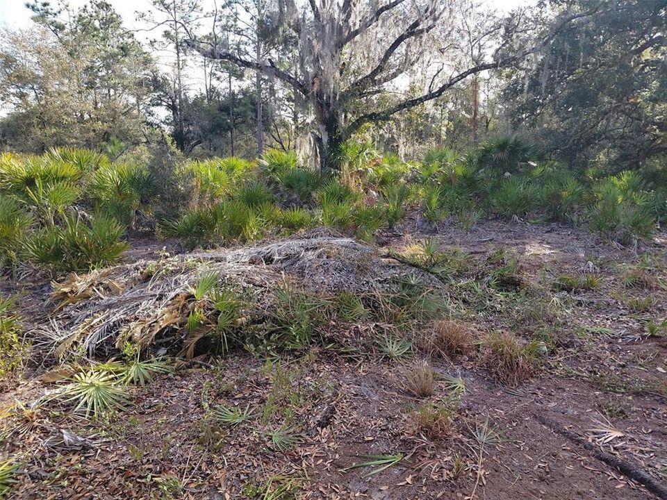 На продажу: $25,000 (0.50 acres)