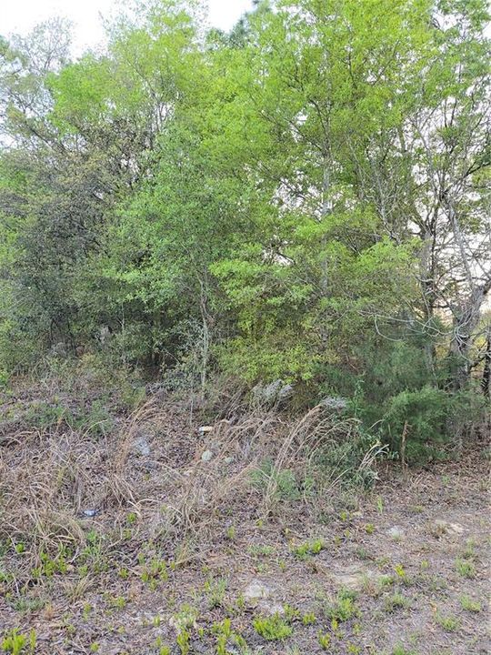 На продажу: $28,500 (0.23 acres)