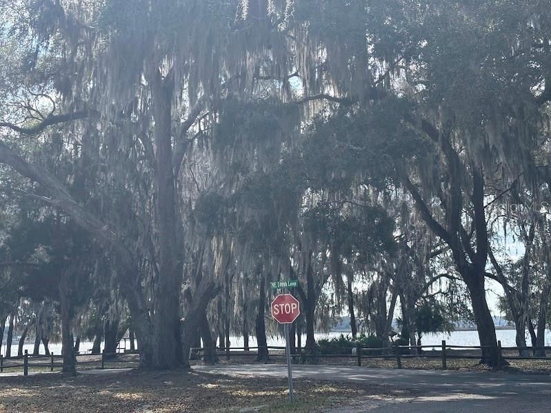 待售: $56,500 (0.05 acres)