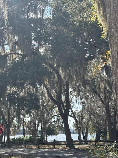 待售: $56,500 (0.05 acres)