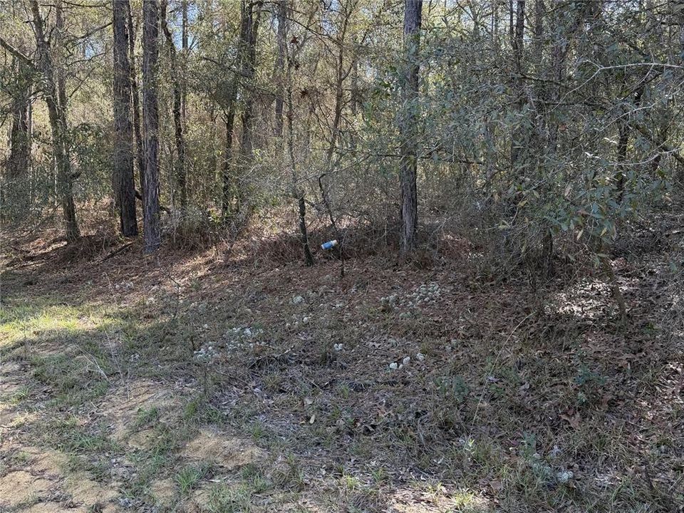 待售: $15,000 (0.18 acres)