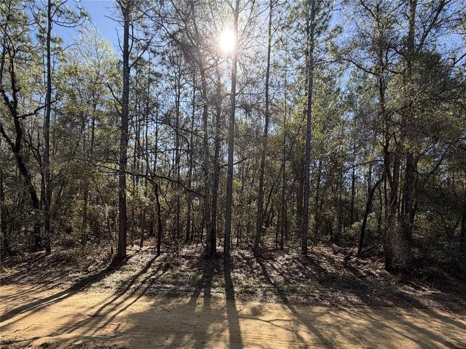 待售: $15,000 (0.18 acres)