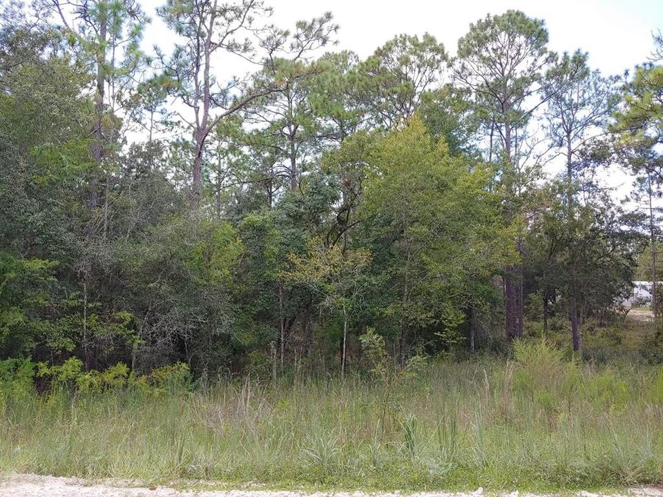 For Sale: $35,000 (1.34 acres)