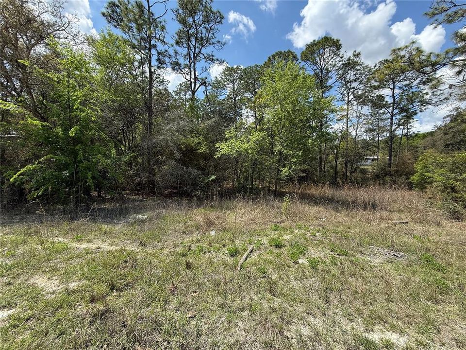 For Sale: $35,000 (1.34 acres)