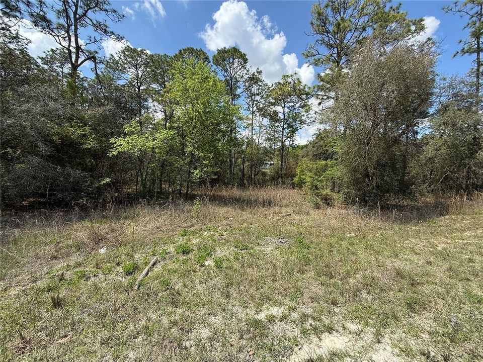 For Sale: $35,000 (1.34 acres)