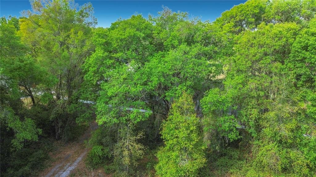 待售: $55,000 (1.01 acres)