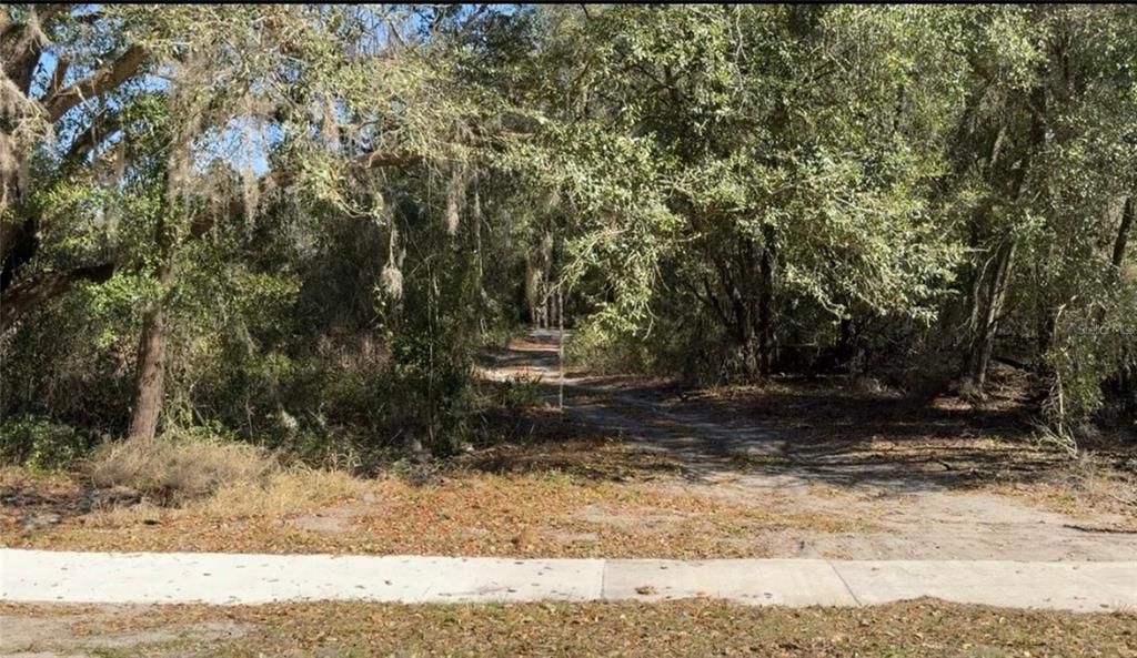 待售: $55,000 (1.01 acres)