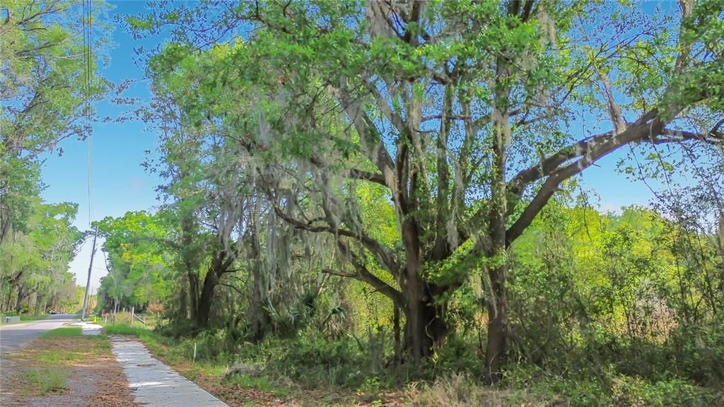 待售: $55,000 (1.01 acres)
