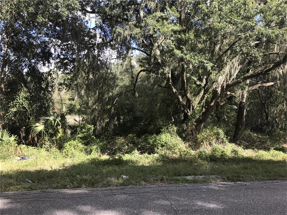 待售: $55,000 (1.01 acres)