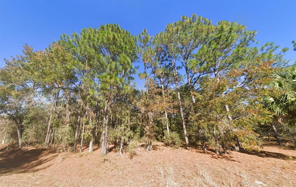 Недавно продано: $159,999 (1.46 acres)