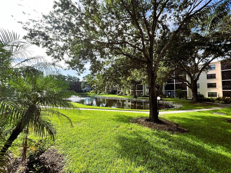 出租: $1,350 (1 贝兹, 1 浴室, 924 平方英尺)