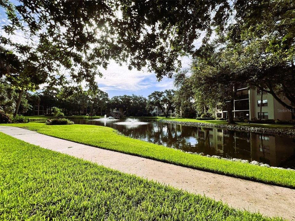 出租: $1,350 (1 贝兹, 1 浴室, 924 平方英尺)