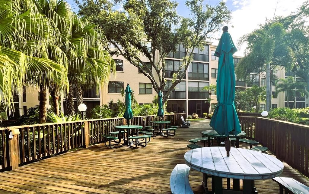 出租: $1,350 (1 贝兹, 1 浴室, 924 平方英尺)