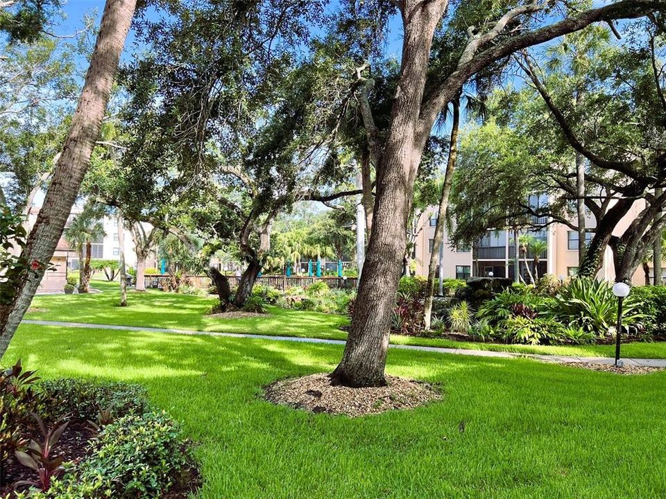 出租: $1,350 (1 贝兹, 1 浴室, 924 平方英尺)