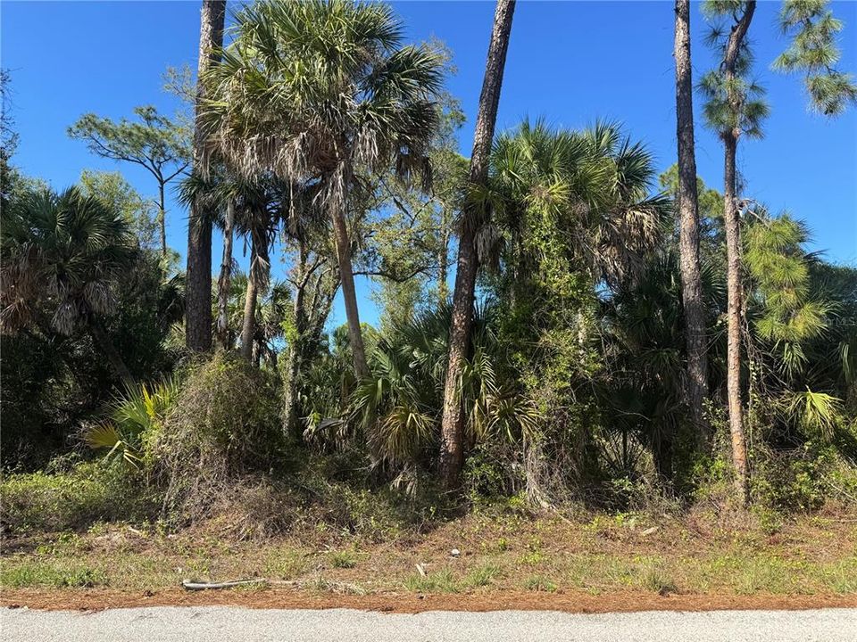 На продажу: $138,000 (0.23 acres)