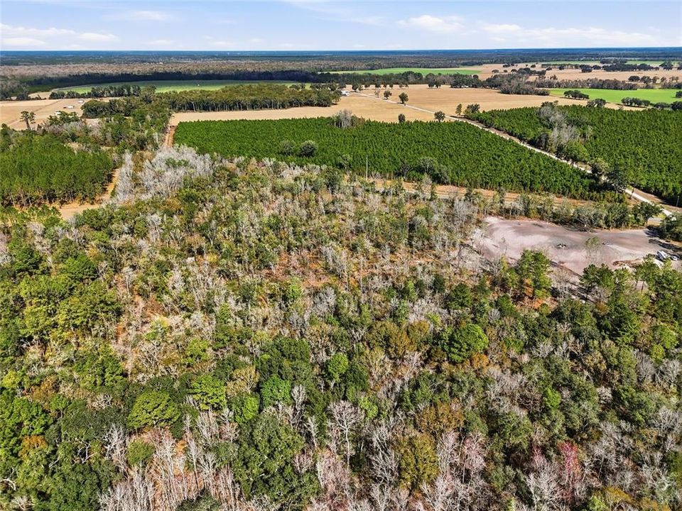 For Sale: $78,400 (2.80 acres)