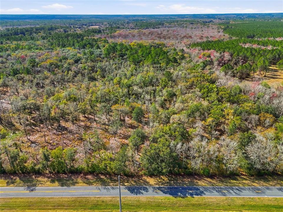 For Sale: $78,400 (2.80 acres)