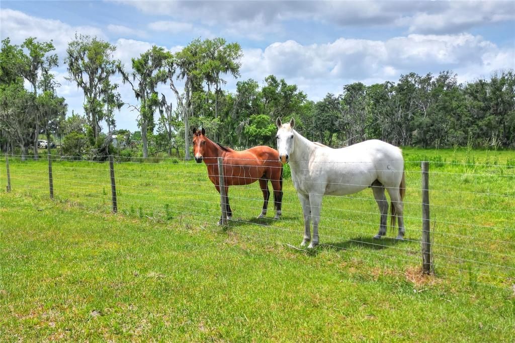 En Venta: $385,000 (5.33 acres)