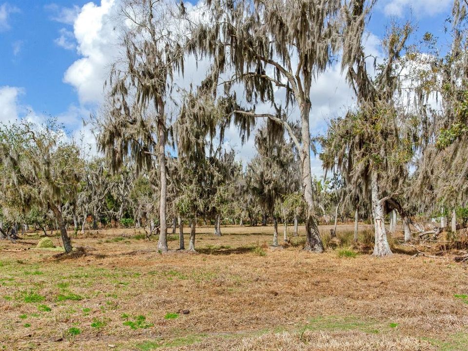 En Venta: $385,000 (5.33 acres)