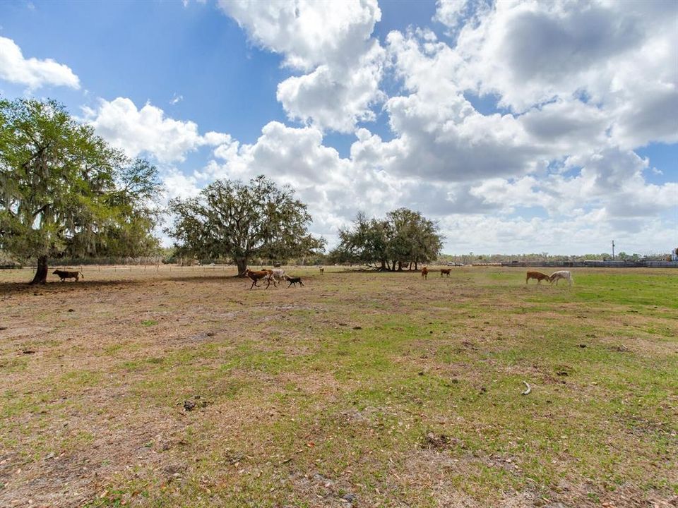 Под контрактом: $385,000 (5.01 acres)