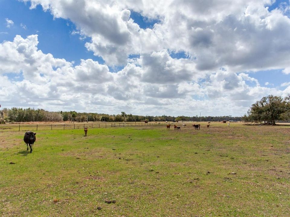 En Venta: $365,000 (5.01 acres)