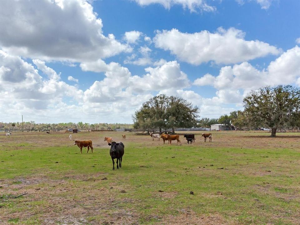 En Venta: $365,000 (5.01 acres)