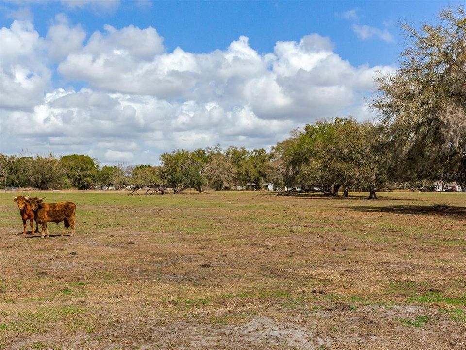 En Venta: $365,000 (5.01 acres)