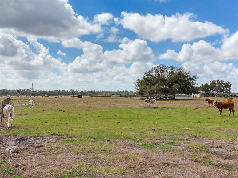 En Venta: $365,000 (5.01 acres)