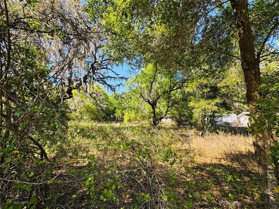 En Venta: $950,000 (3.86 acres)