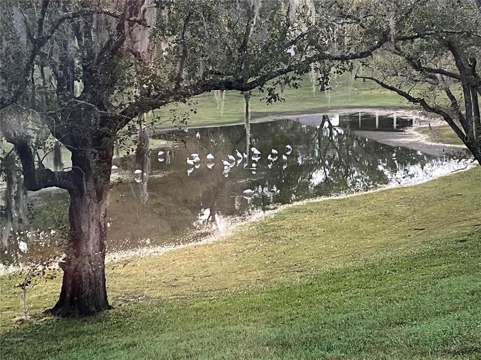 En Venta: $219,500 (2 camas, 2 baños, 1288 Pies cuadrados)