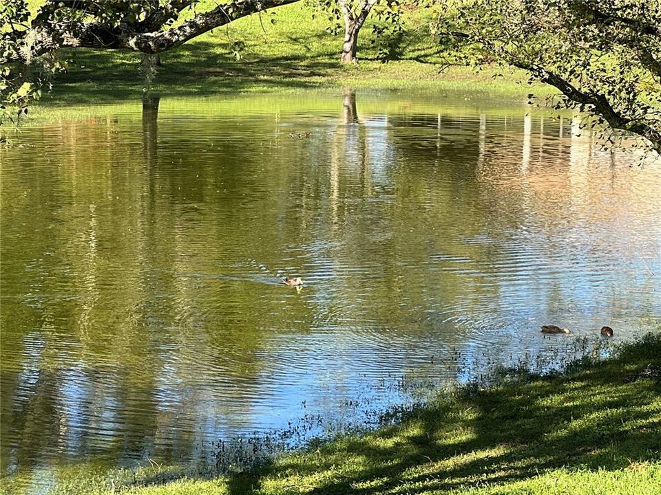 En Venta: $219,500 (2 camas, 2 baños, 1288 Pies cuadrados)