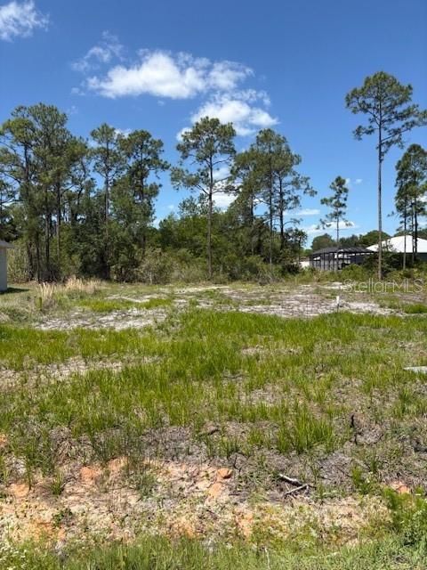 For Sale: $29,000 (0.23 acres)