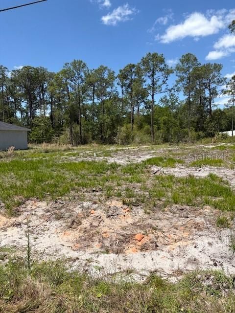 For Sale: $29,000 (0.23 acres)
