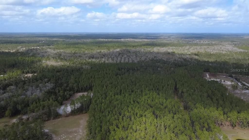 En Venta: $269,000 (9.99 acres)