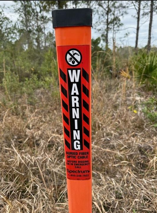 En Venta: $269,000 (9.99 acres)