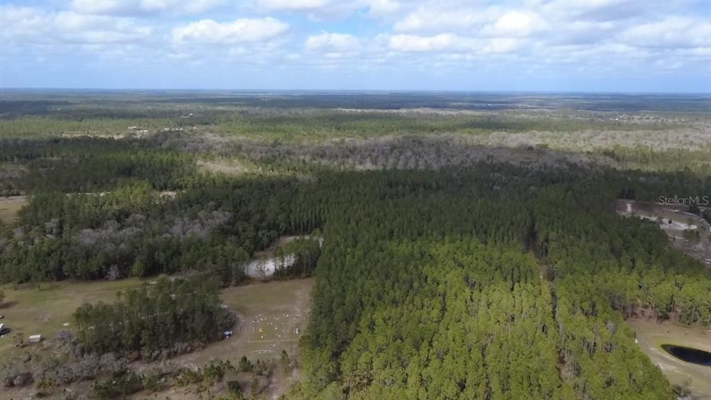 En Venta: $269,000 (9.99 acres)