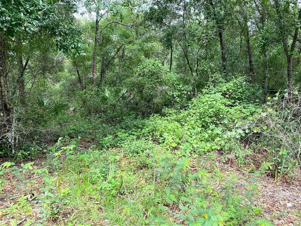 На продажу: $23,000 (0.23 acres)