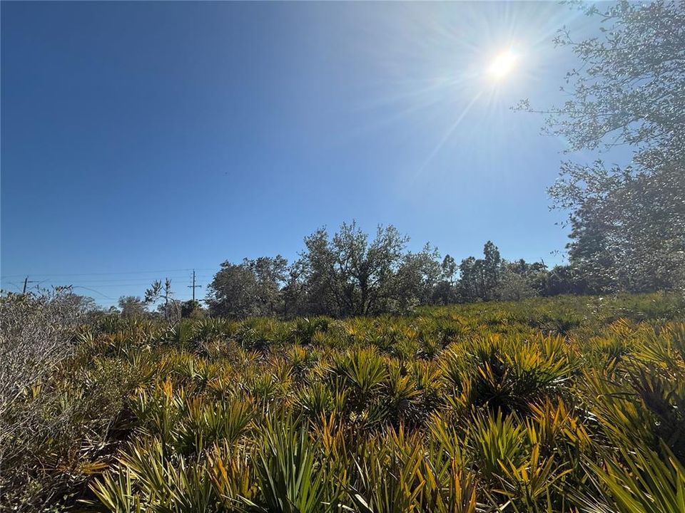 En Venta: $30,000 (0.24 acres)