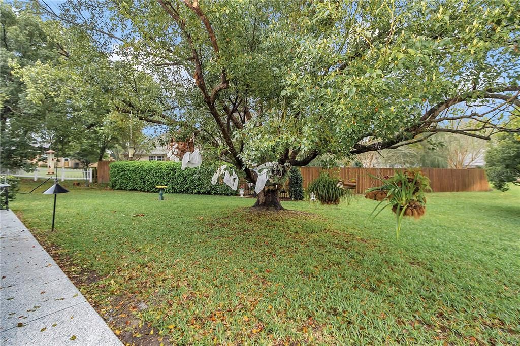 Activo con contrato: $179,900 (2 camas, 2 baños, 1118 Pies cuadrados)