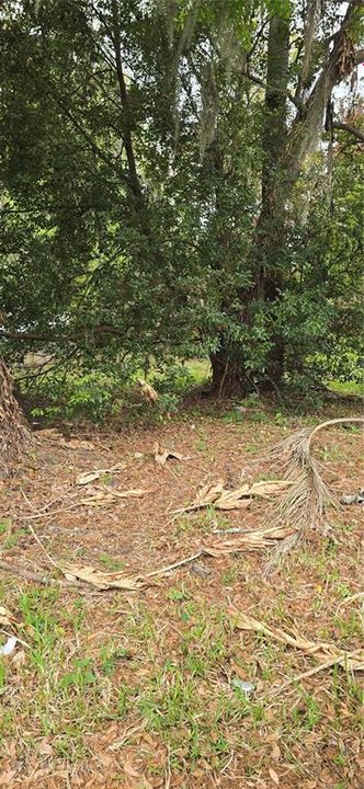 На продажу: $38,000 (0.17 acres)