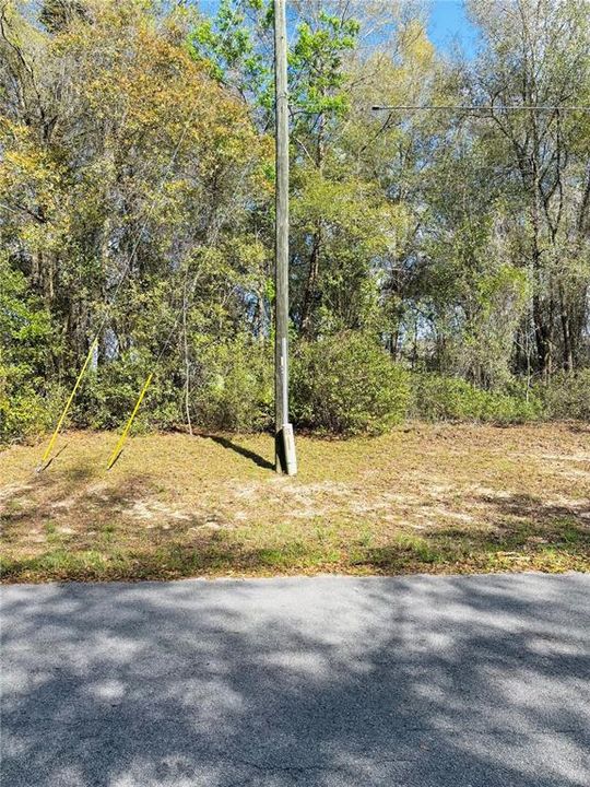 待售: $45,900 (0.23 acres)