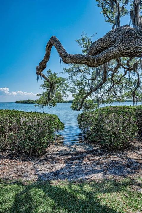 For Sale: $398,900 (2 beds, 2 baths, 1294 Square Feet)