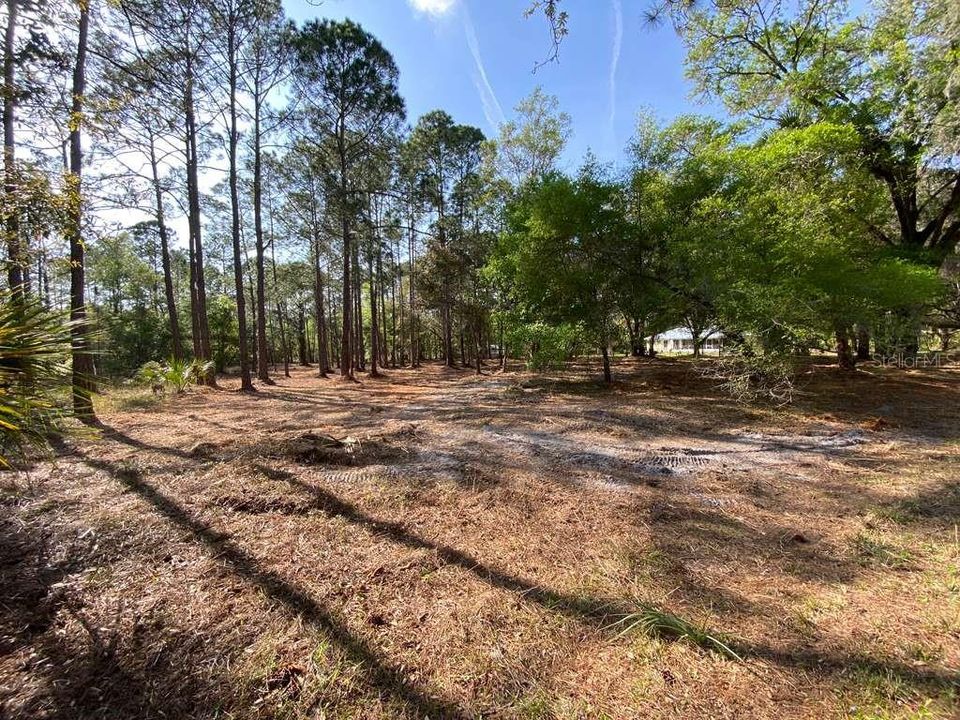На продажу: $49,000 (1.33 acres)