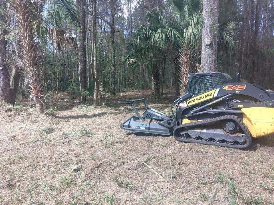 For Sale: $99,000 (3.00 acres)