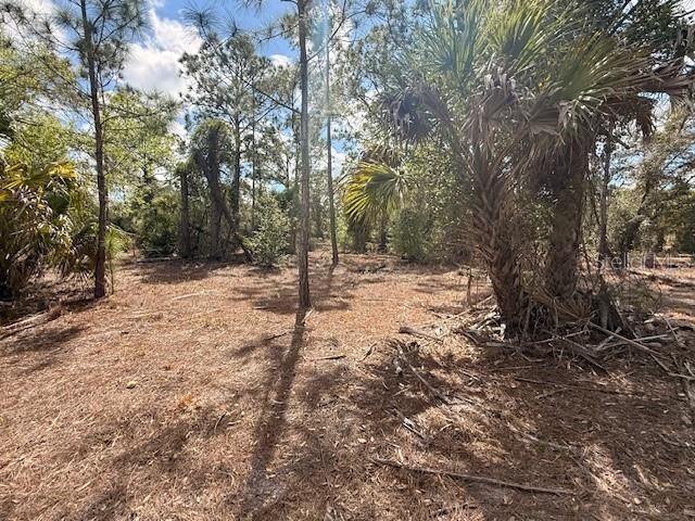 En Venta: $75,000 (1.01 acres)