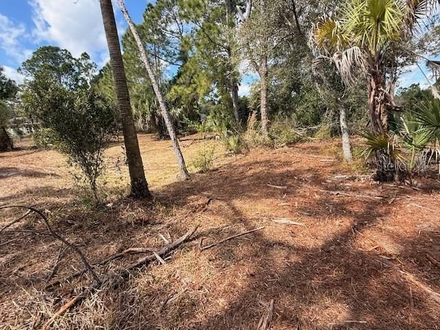 En Venta: $75,000 (1.01 acres)