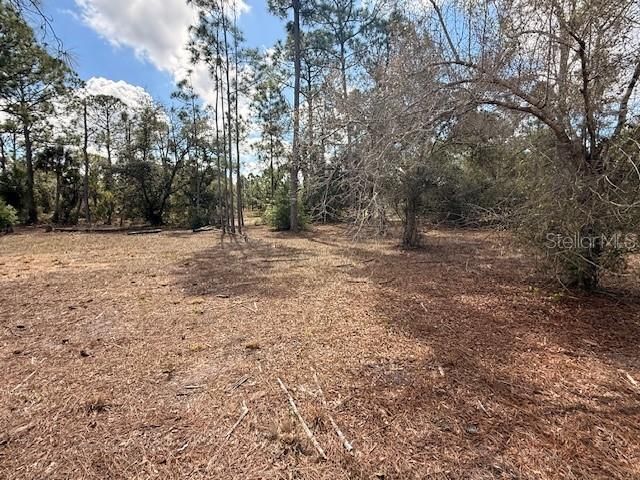 En Venta: $75,000 (1.01 acres)