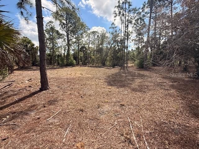 En Venta: $75,000 (1.01 acres)