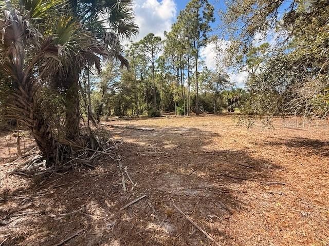 En Venta: $75,000 (1.01 acres)